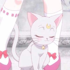 cekc高清bnдeo浓毛
