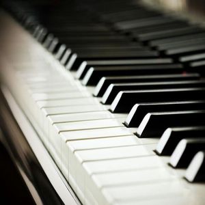 cekc高清bnдeo浓毛
