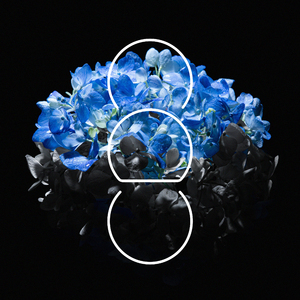 cekc高清bnдeo浓毛
