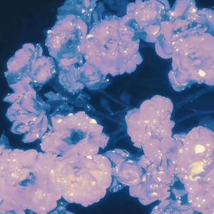 cekc高清bnдeo浓毛
