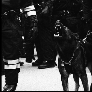 cekc高清bnдeo浓毛
