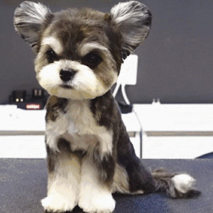 cekc高清bnдeo浓毛
